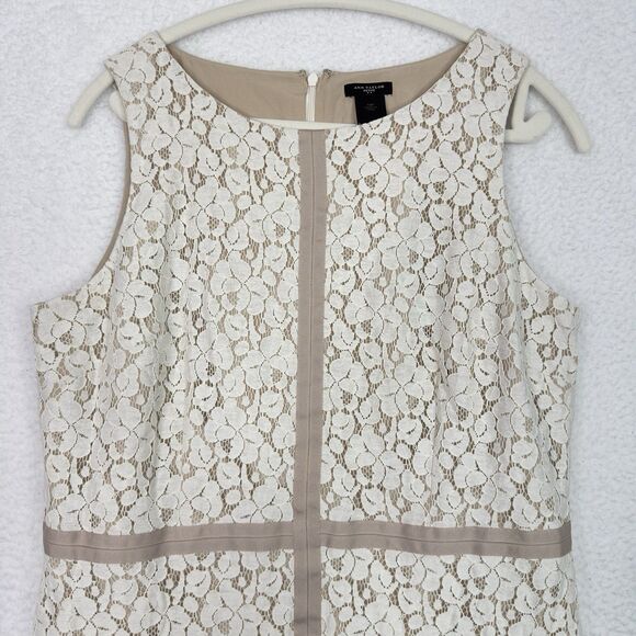 Ann Taylor Size 14P Sleeveless Lace Mid Dress Beige Ivory Lined Overlay Elegant - Picture 2 of 14